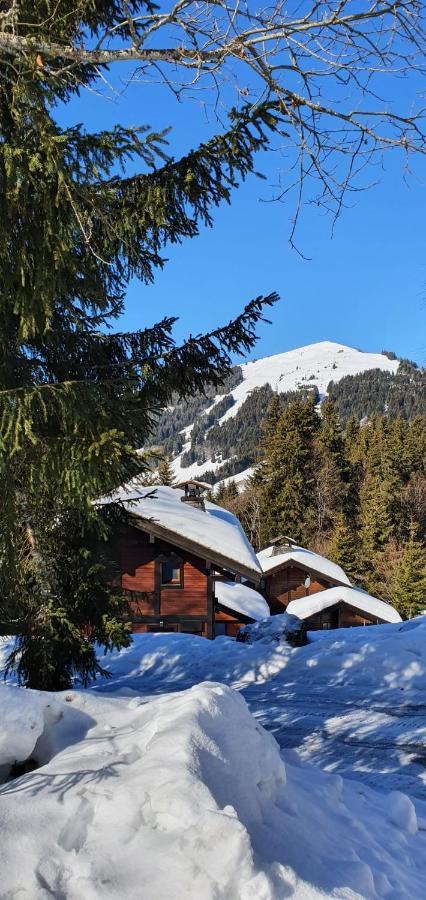 Le Chalet De Nabor Les Gets Ngoại thất bức ảnh