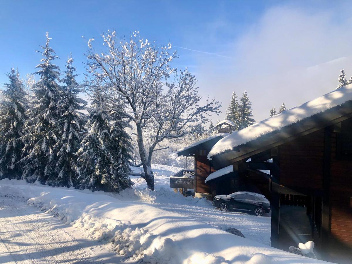 Le Chalet De Nabor Les Gets Ngoại thất bức ảnh